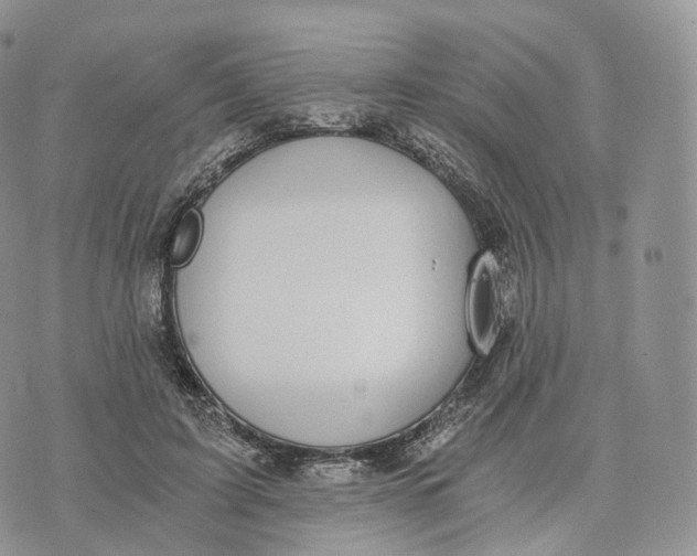 X0000072960595200608111653