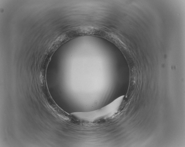 X0000072960597200608111653