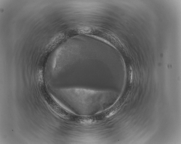 X0000072960598200608111653