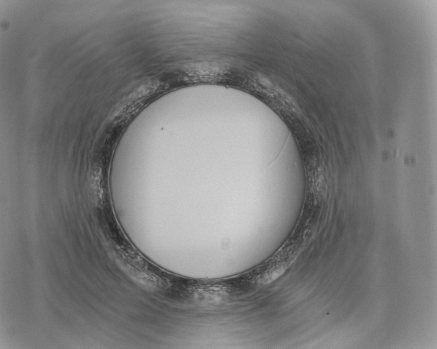 X0000072960599200608111653