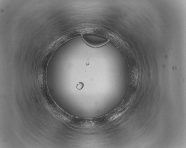 X0000072960600200608111653