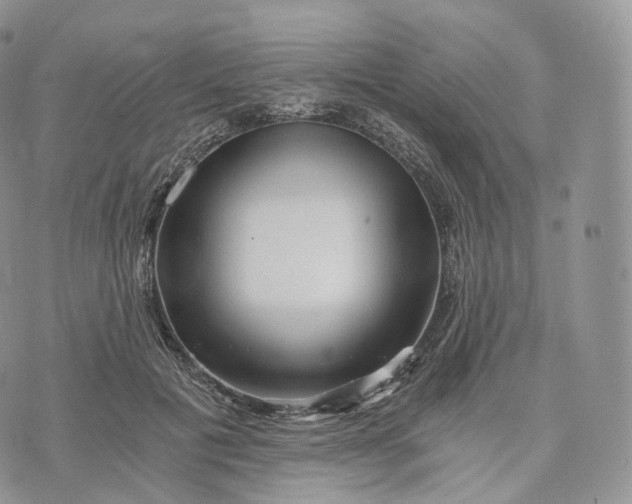 X0000072960601200608111653