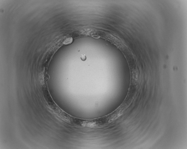 X0000072960602200608111653