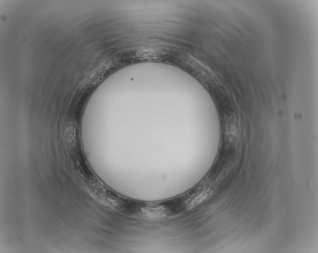 X0000072960603200608111653