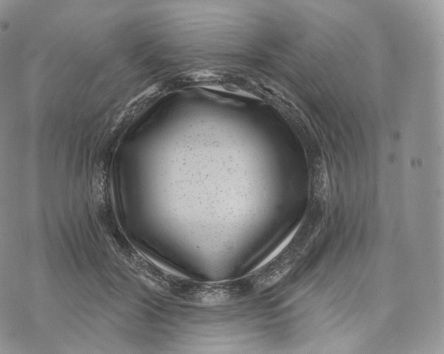 X0000072960604200608111653