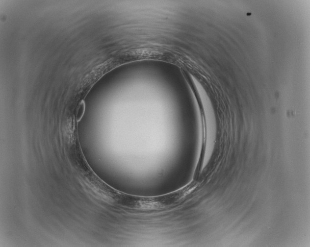 X0000072960605200608111653