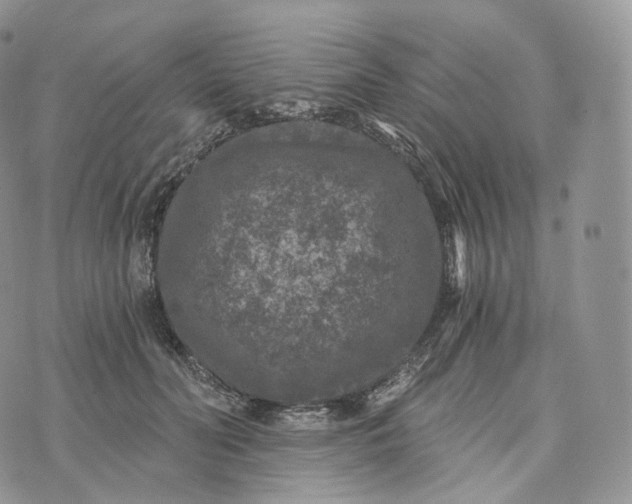 X0000072960606200608111653