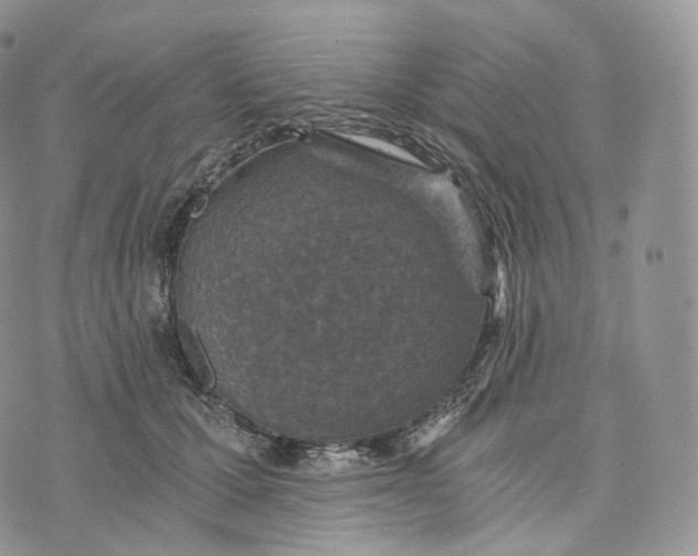 X0000072960607200608111653