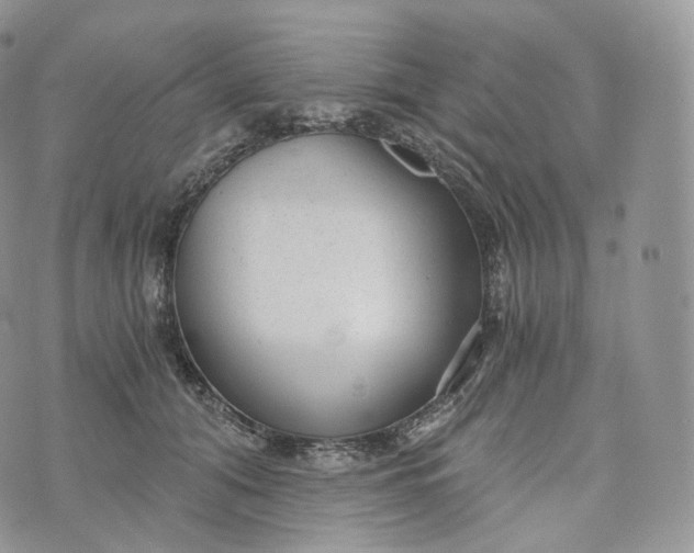 X0000072960608200608111652