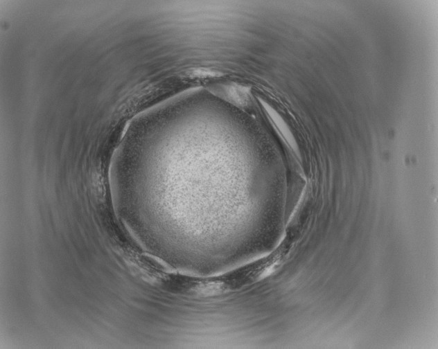 X0000072960609200608111652