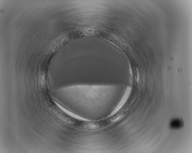 X0000072960610200608111652