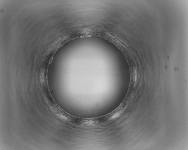 X0000072960611200608111652