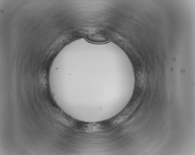 X0000072960612200608111652