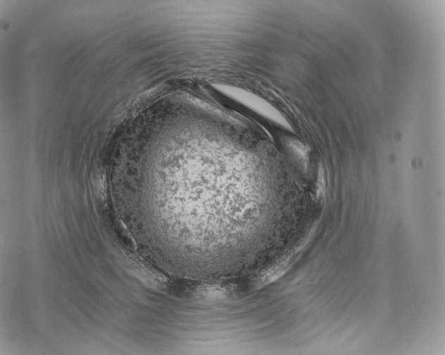 X0000072960613200608111652