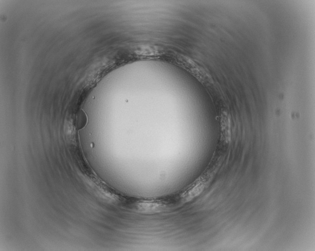 X0000072960614200608111652