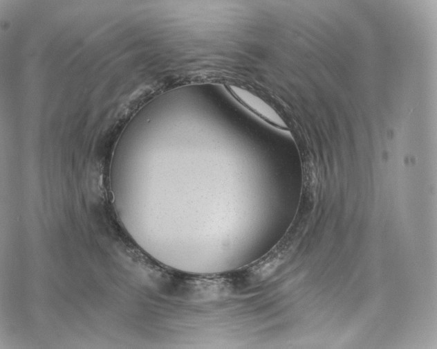 X0000072960615200608111652