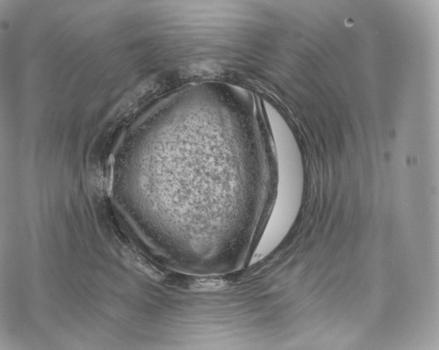 X0000072960617200608111652