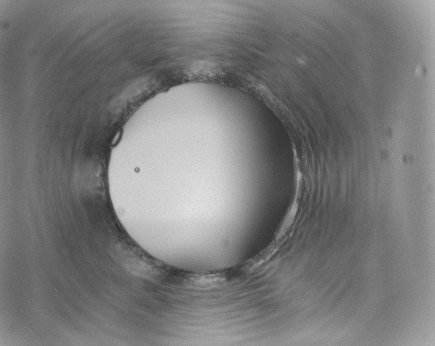 X0000072960619200608111652