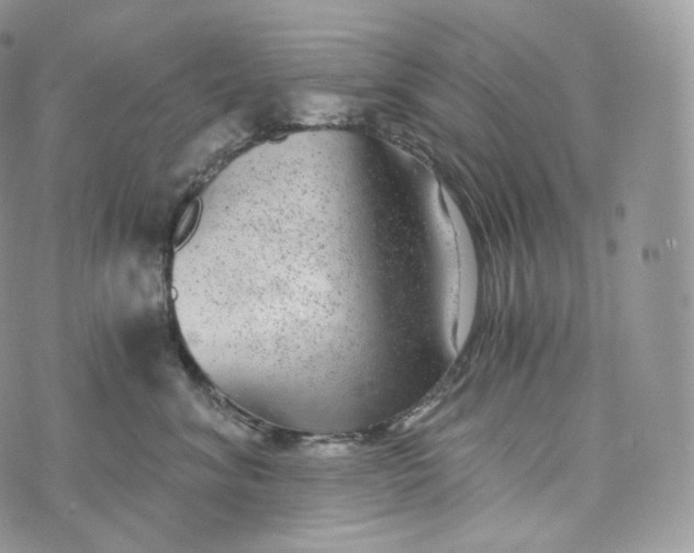 X0000072960620200608111652