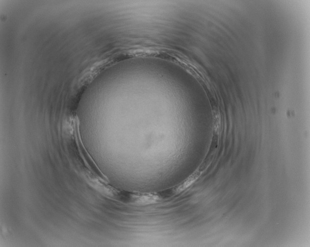 X0000072960621200608111652