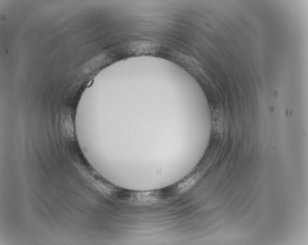 X0000072960622200608111652