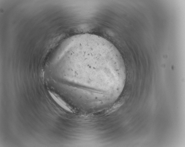 X0000072960624200608111652