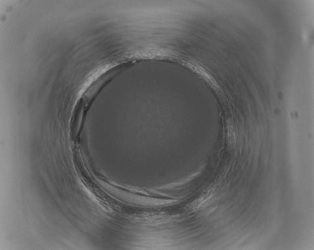 X0000072960626200608111651