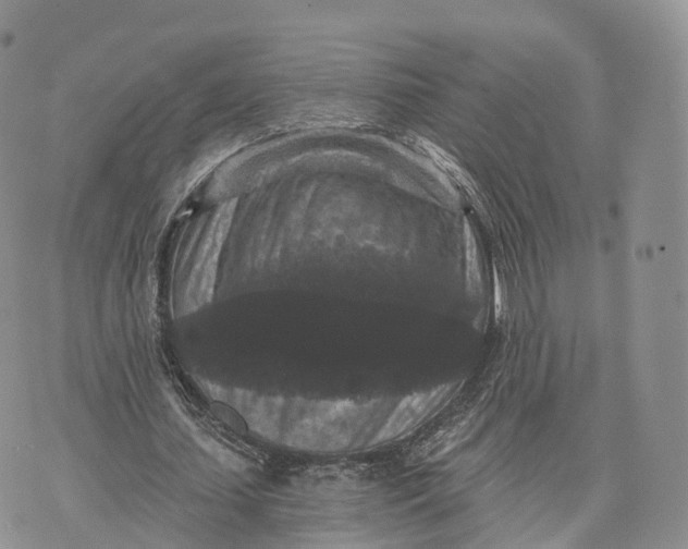 X0000072960627200608111651