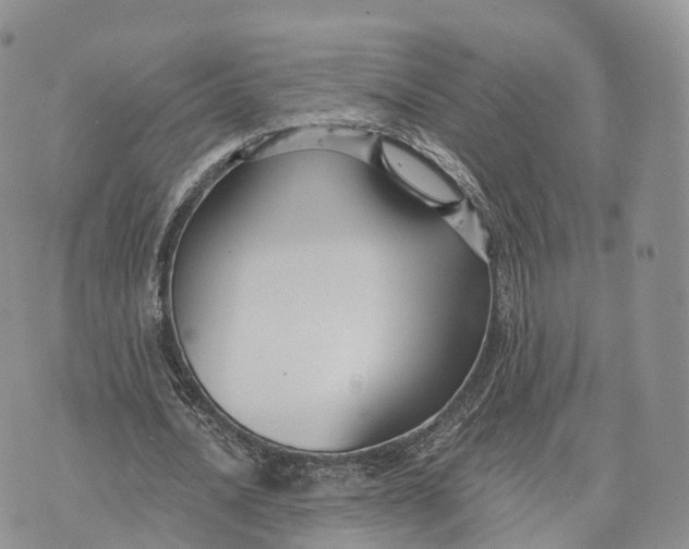 X0000072960628200608111651