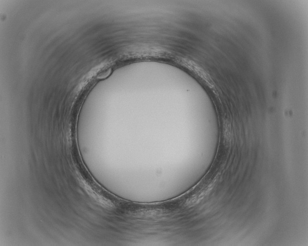 X0000072960629200608111652