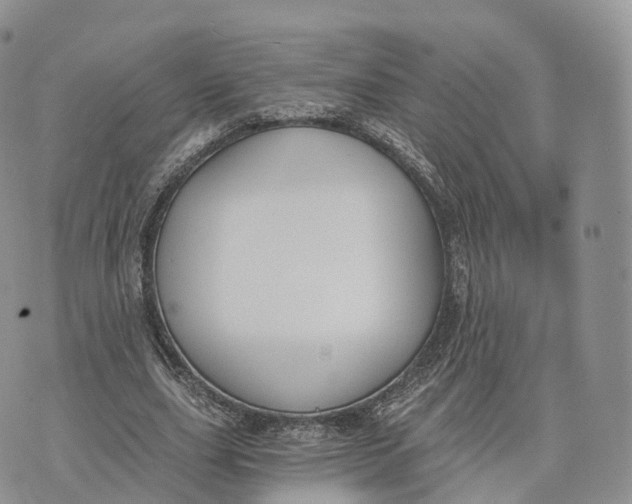 X0000072960631200608111652