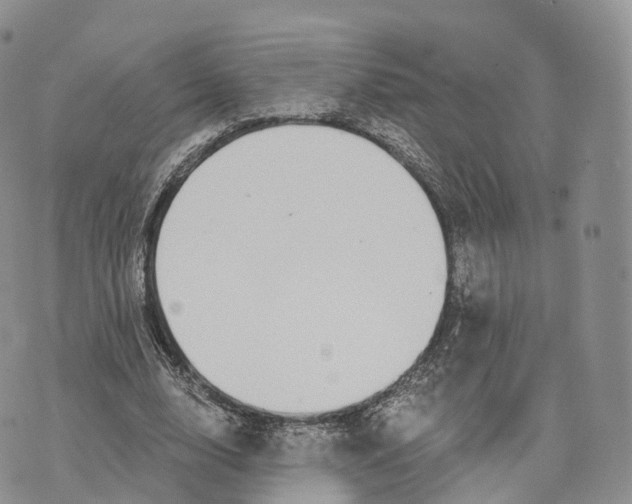 X0000072960632200608111652