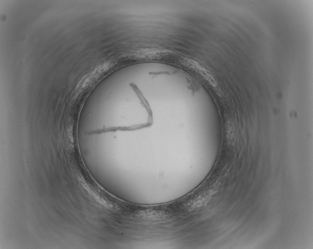 X0000072960633200608111652