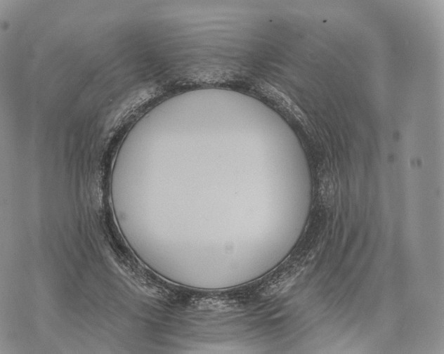 X0000072960635200608111652