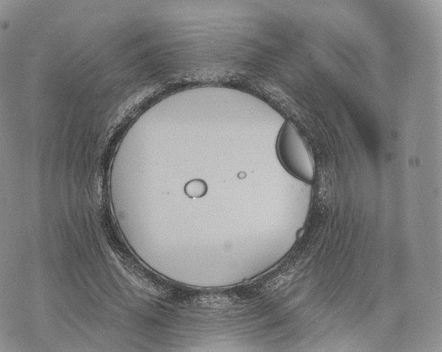 X0000072960636200608111652