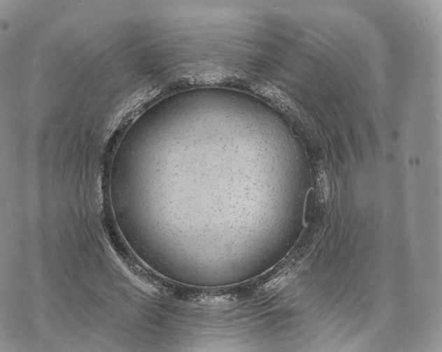 X0000072960638200608111652