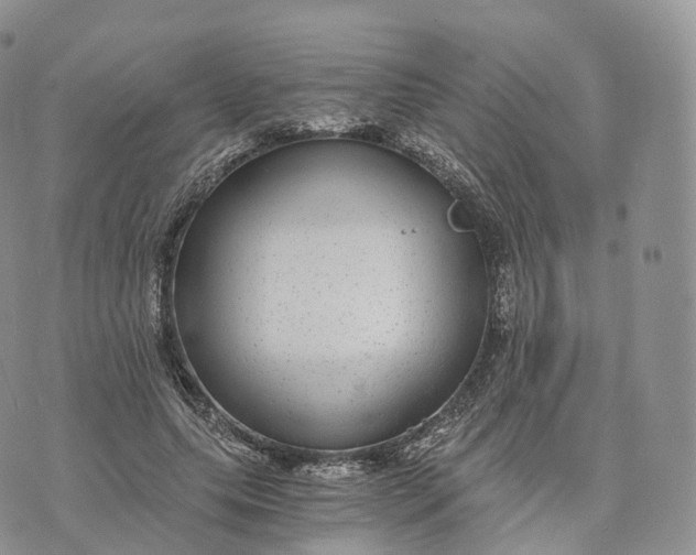 X0000072960639200608111652