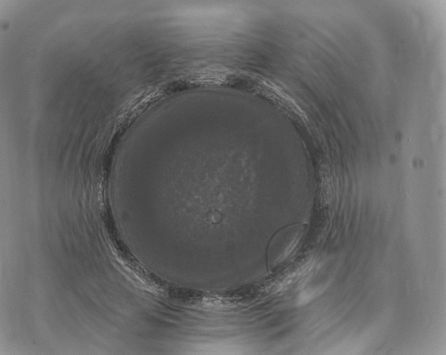 X0000072960641200608111652