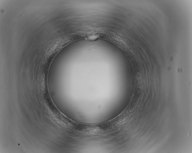 X0000072960642200608111652