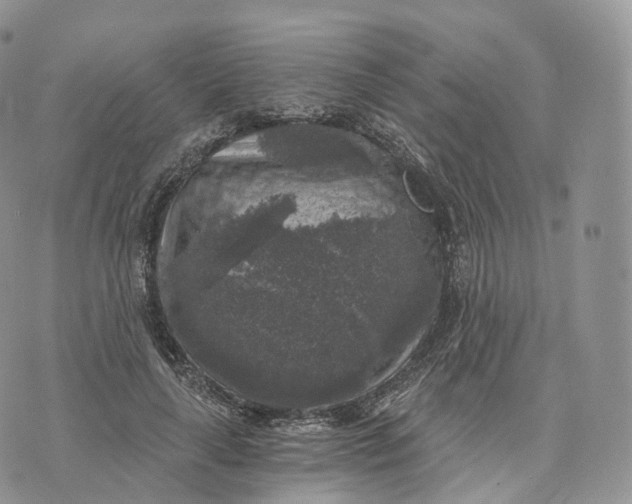 X0000072960643200608111652