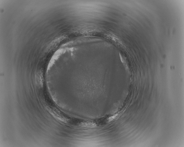 X0000072960644200608111652