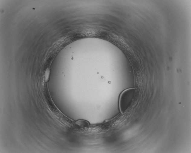 X0000072960645200608111652