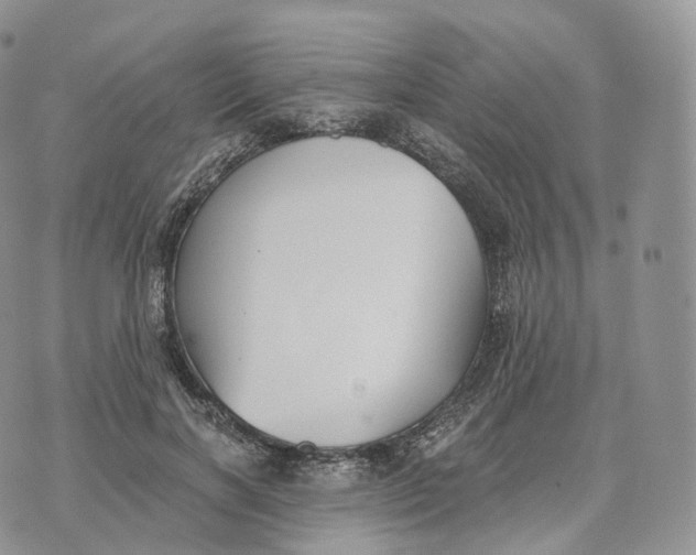 X0000072960646200608111652