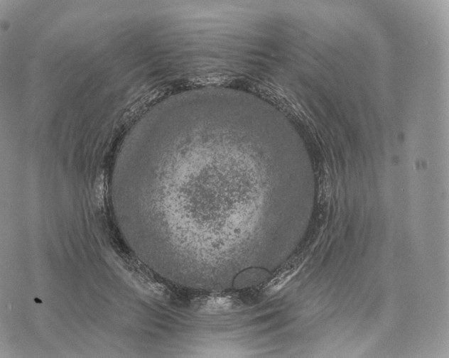 X0000072960647200608111652