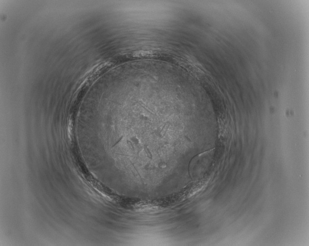 X0000072960648200608111652