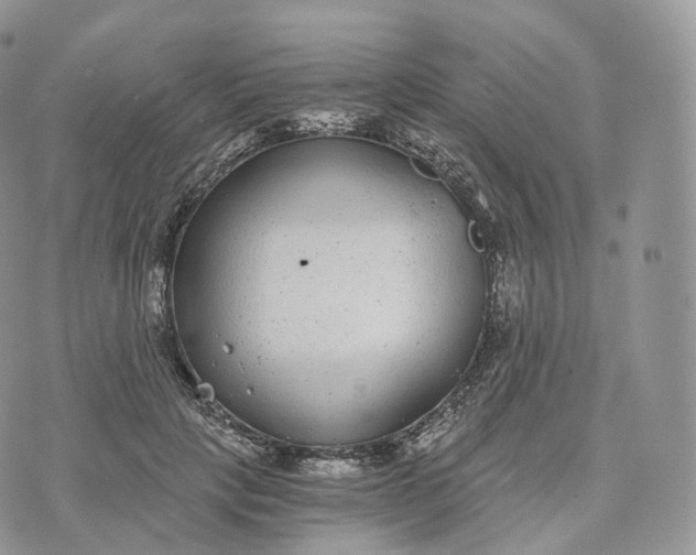 X0000072960649200608111652