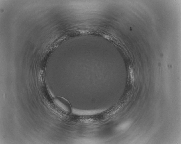 X0000072960650200608111652