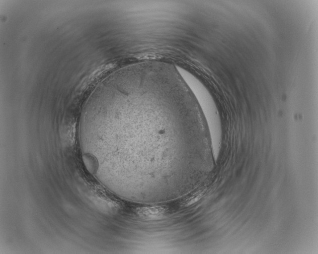 X0000072960652200608111652