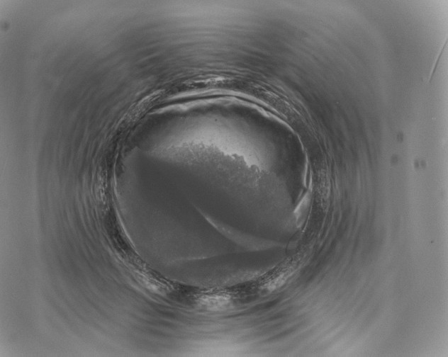 X0000072960653200608111652