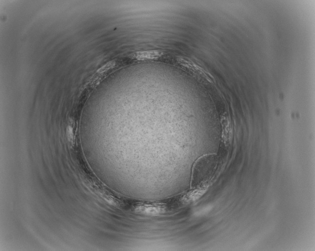 X0000072960655200608111652